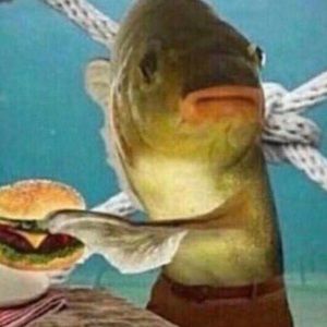 Meet your Posher, Joel